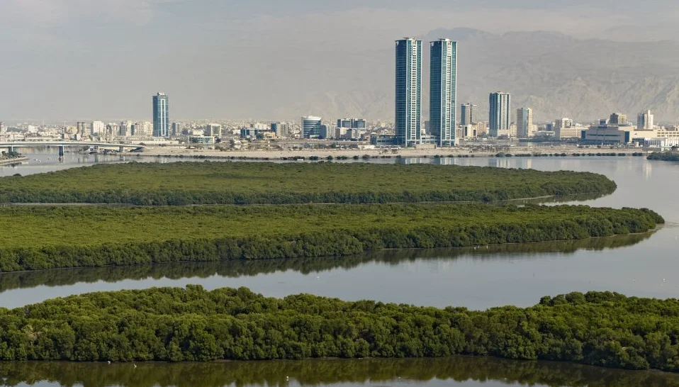 Ras Al Khaimah sets a record with over 600,000 visitors