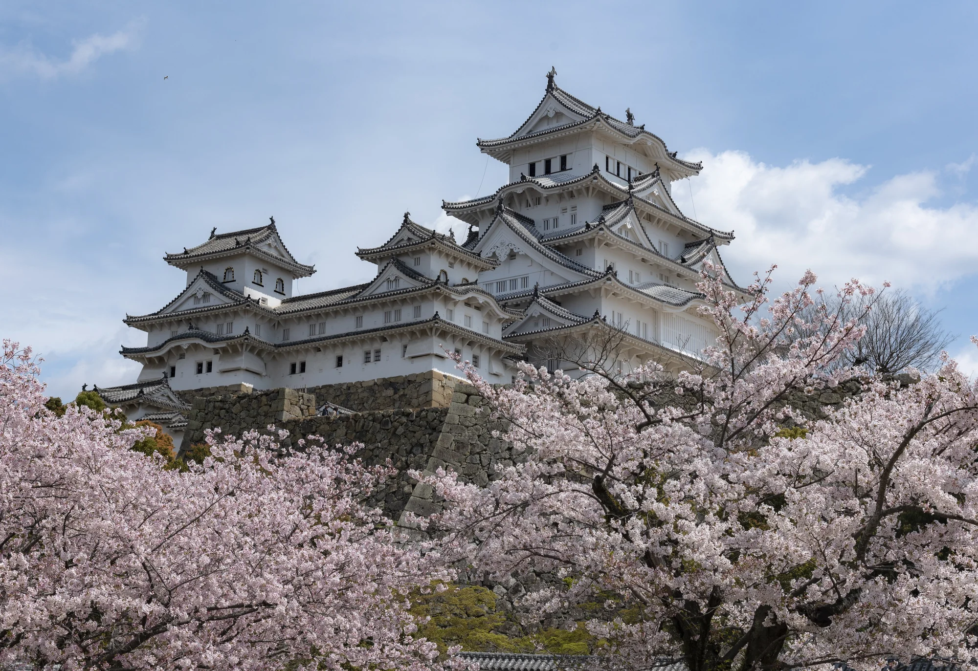 Japan Reports June Foreign Visitor Figures